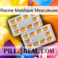 Racine Maléfique Miraculeuse cialis4